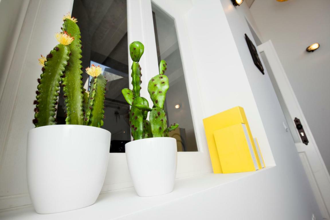 Get A Cactus And Books Studio Porto Exterior foto